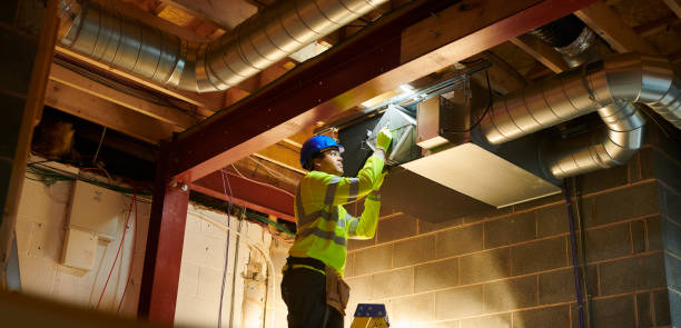 Best Air Duct Mold Removal  in Bystrom, CA